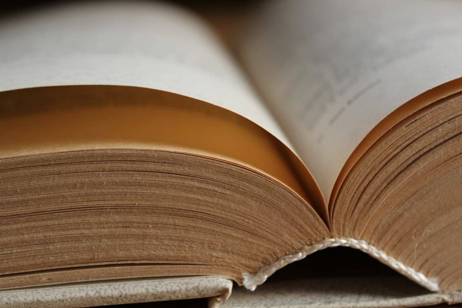 Close-up of an open hardback book, its pages fanned out at the spine with the text slightly out of focus
